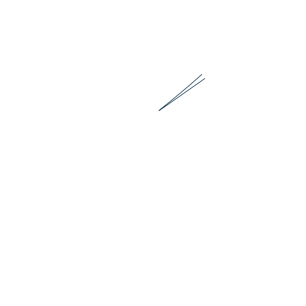 Polo Sur Aviation